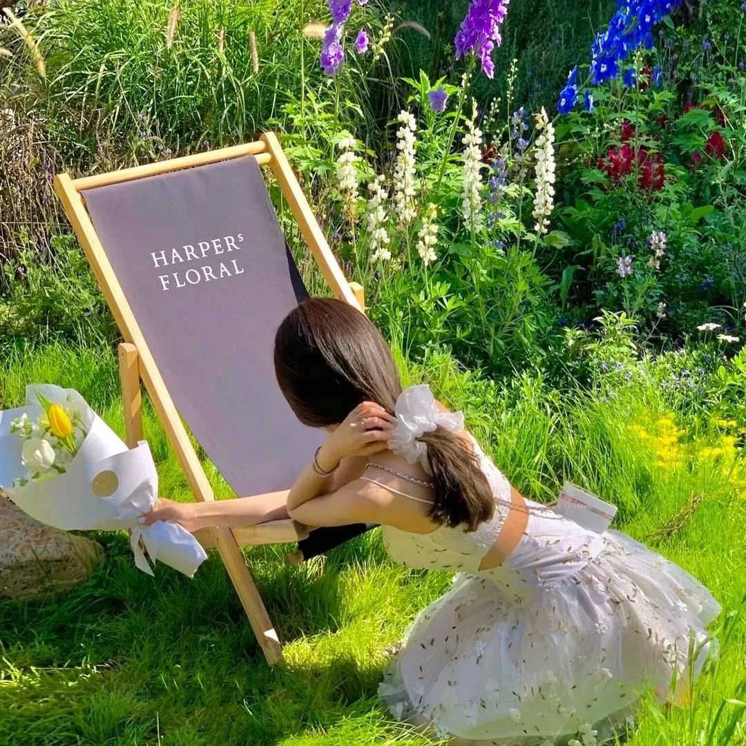 真千金她逆风翻盘